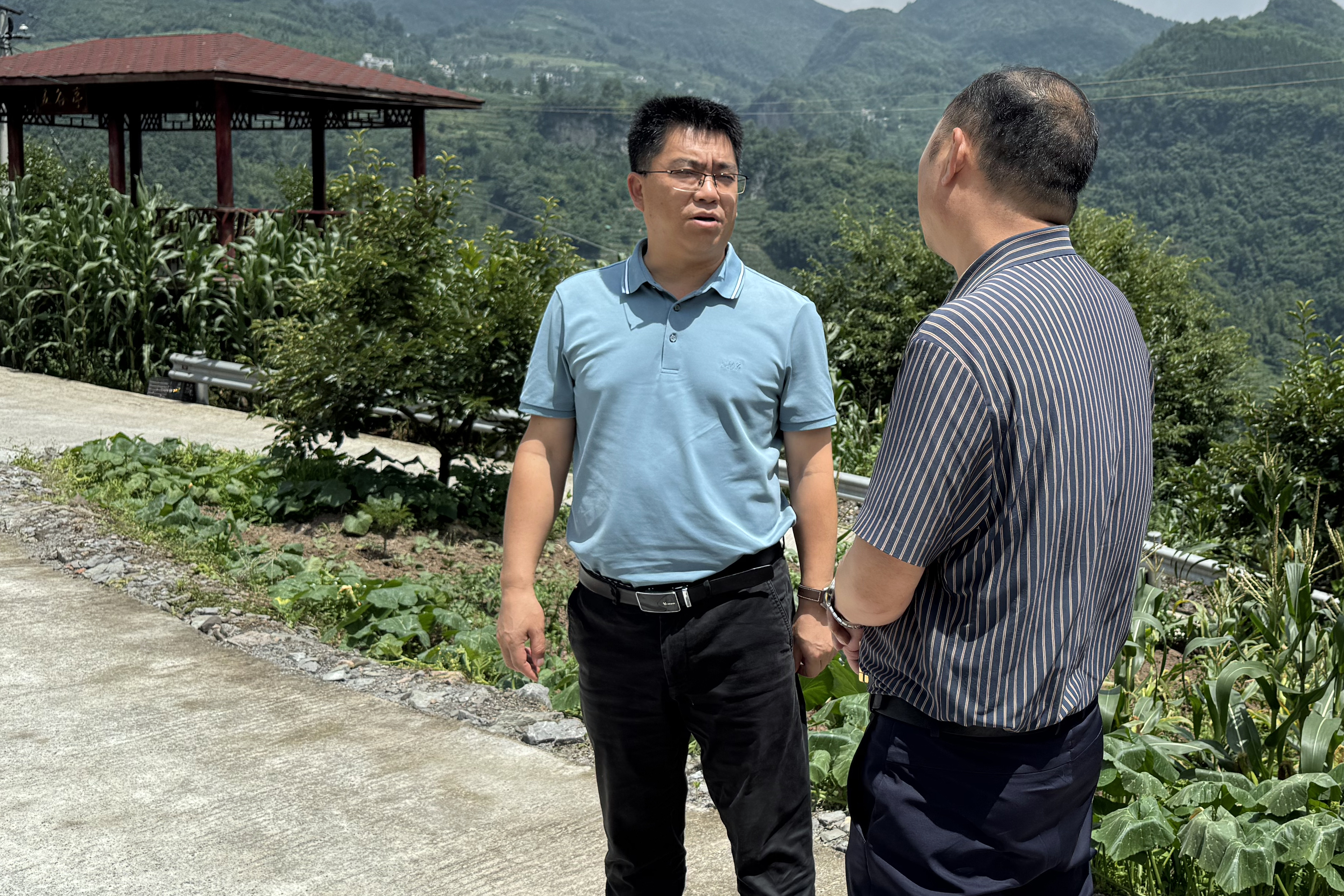 7月6日,县委副书记,县长杨绪春深入坡头镇,大湾镇